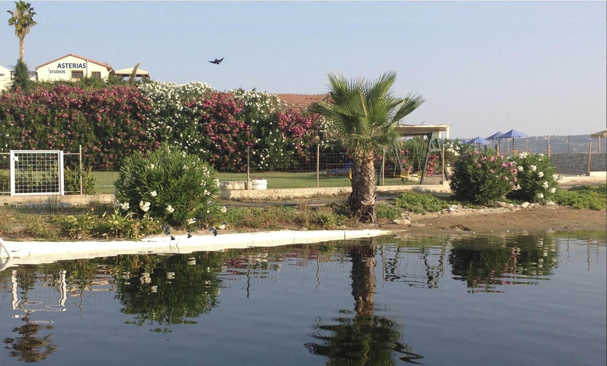 Asterias Studios & Apartments Kalyves Buitenkant foto